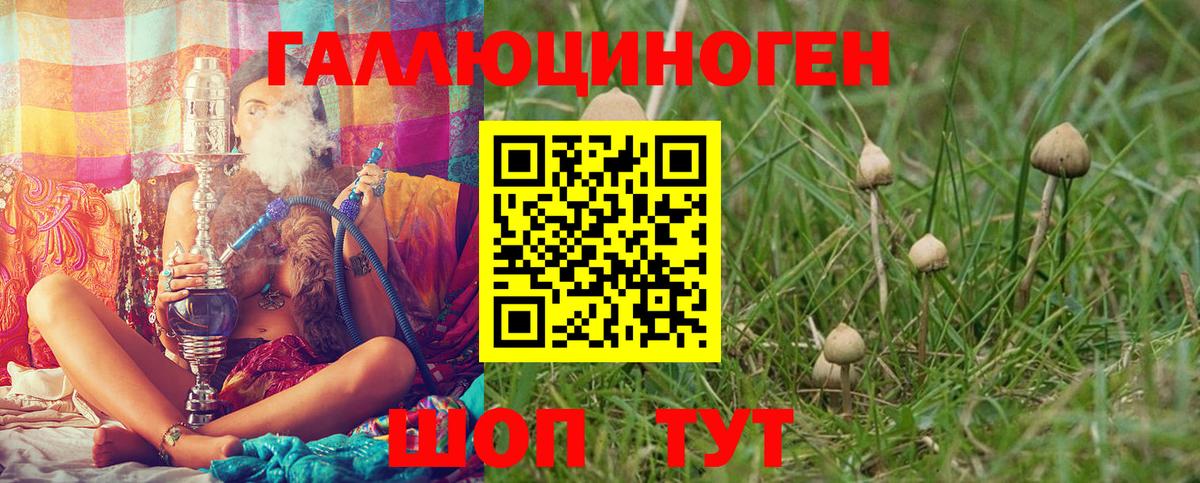 Псилоцибиновые грибы прущие грибы  Вход с VPN  Зима  Галлюциногенные грибы мицелий 