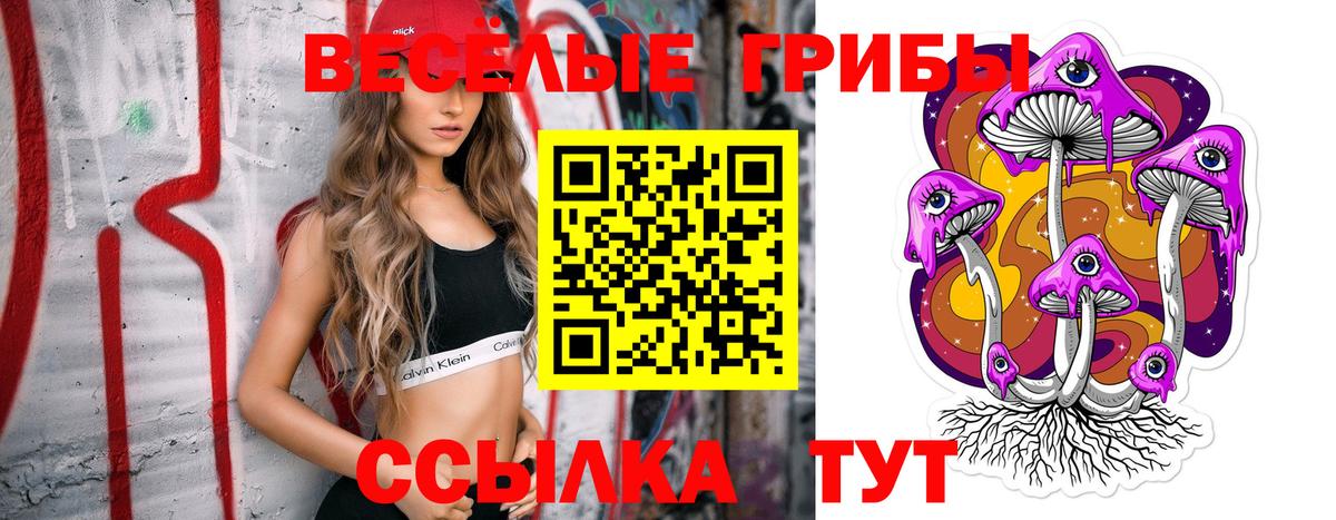 Псилоцибиновые грибы ЛСД Зима